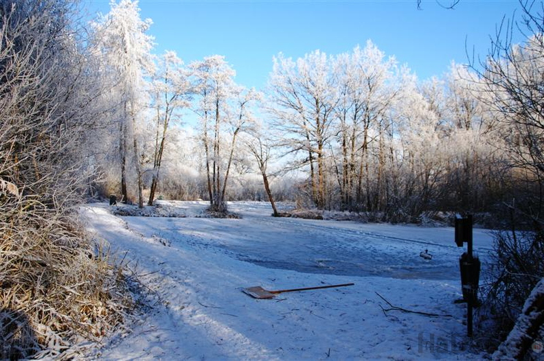 090109-wvdl-winter in HaDee _03_.JPG